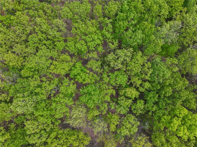 11375 NE 50th Rd, Osceola, MO 64776