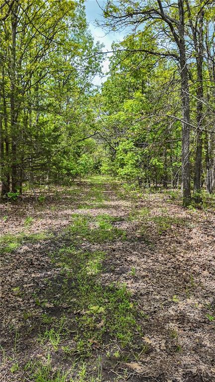 11375 NE 50th Rd, Osceola, MO 64776