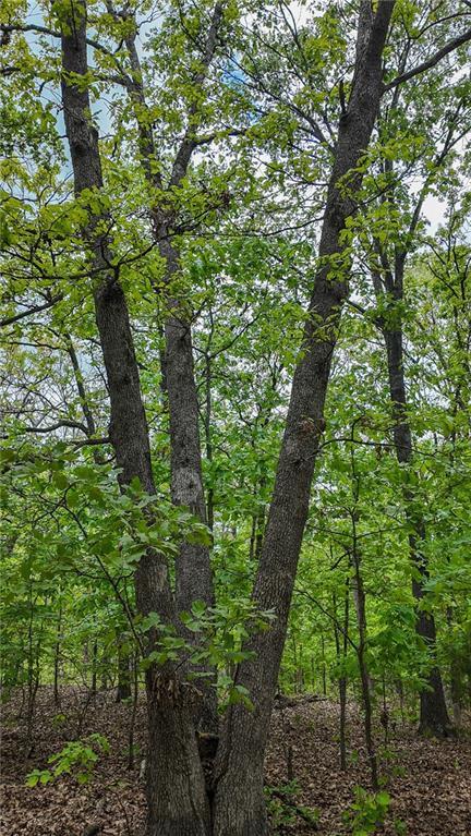 11375 NE 50th Rd, Osceola, MO 64776