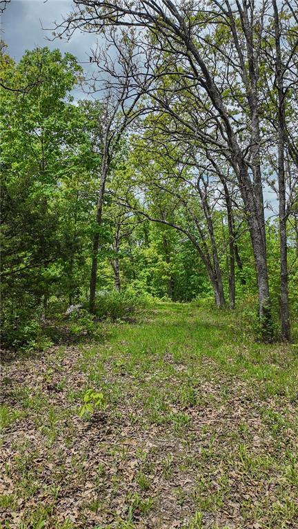 11375 NE 50th Rd, Osceola, MO 64776