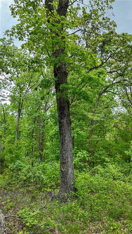 11375 NE 50th Rd, Osceola, MO 64776