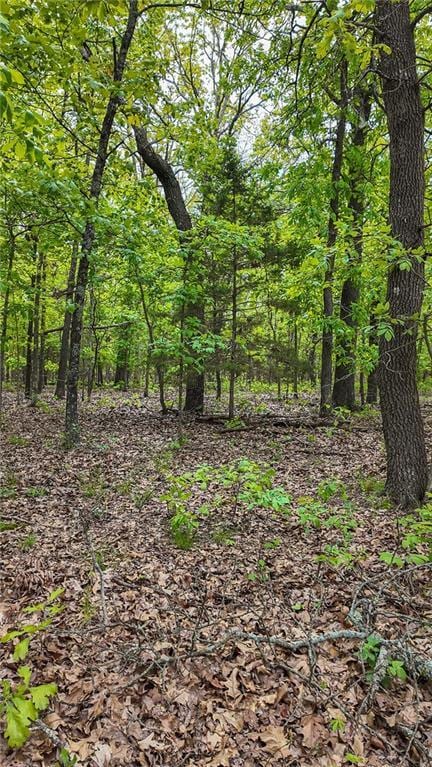 11375 NE 50th Rd, Osceola, MO 64776