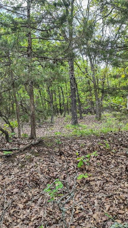 11375 NE 50th Rd, Osceola, MO 64776