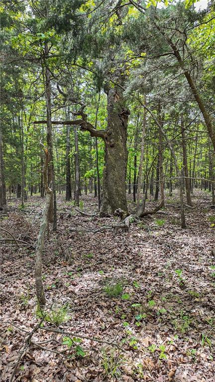 11375 NE 50th Rd, Osceola, MO 64776