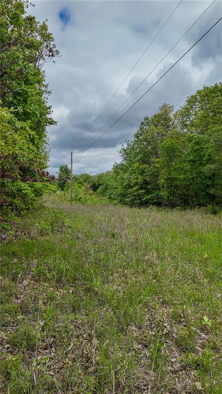 11375 NE 50th Rd, Osceola, MO 64776