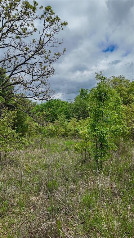 11375 NE 50th Rd, Osceola, MO 64776