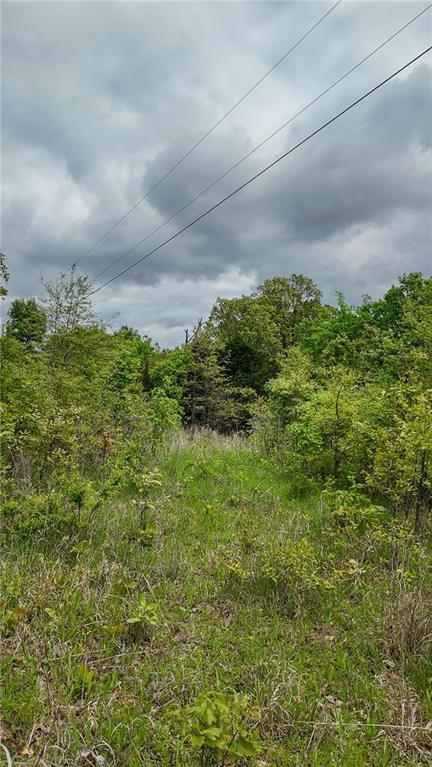 11375 NE 50th Rd, Osceola, MO 64776