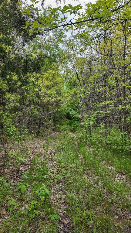 11375 NE 50th Rd, Osceola, MO 64776