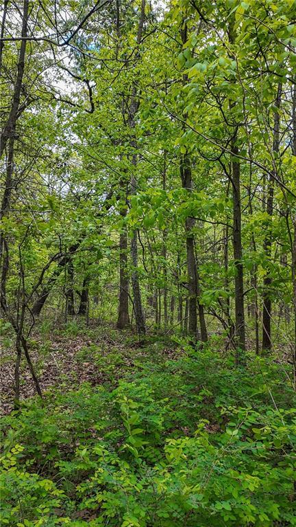 11375 NE 50th Rd, Osceola, MO 64776