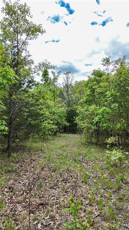 11375 NE 50th Rd, Osceola, MO 64776