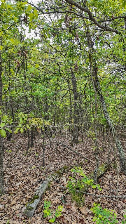 11375 NE 50th Rd, Osceola, MO 64776