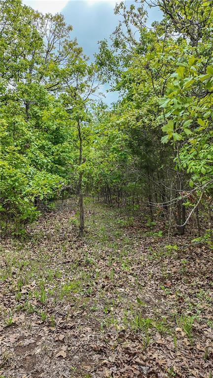11375 NE 50th Rd, Osceola, MO 64776