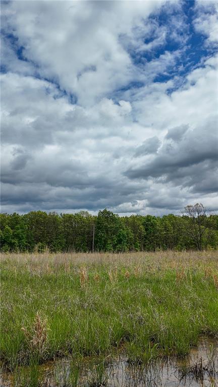 11375 NE 50th Rd, Osceola, MO 64776