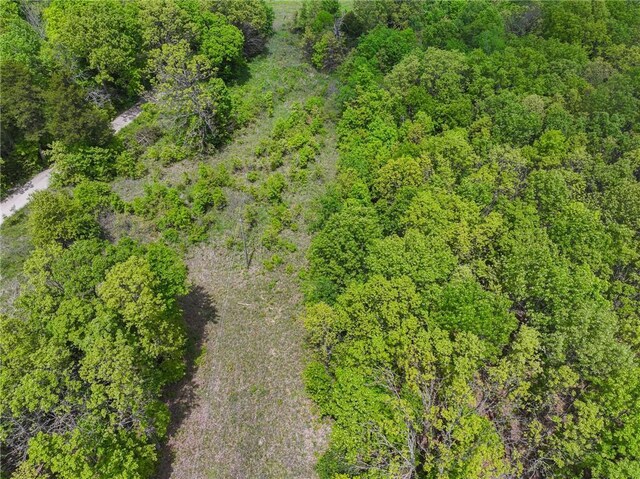 11375 NE 50th Rd, Osceola, MO 64776