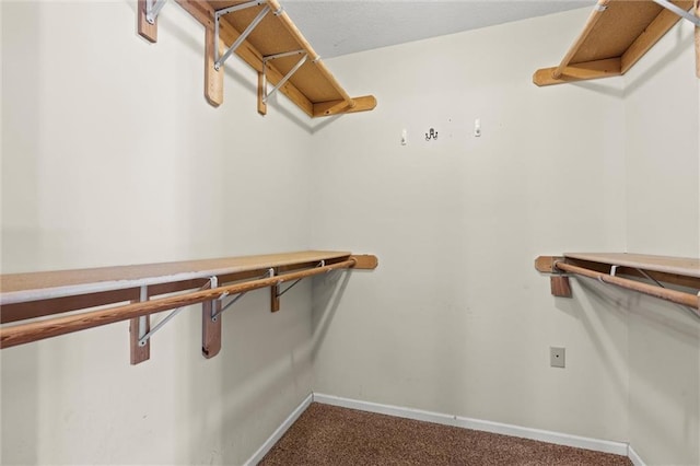 21815 W 73rd Ter, Shawnee, KS 66218 - walk in closet featuring carpet floors