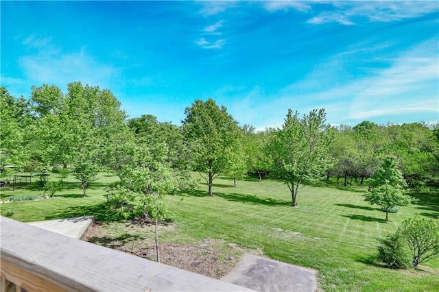 view of green lawn