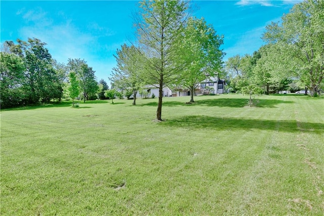 view of green lawn