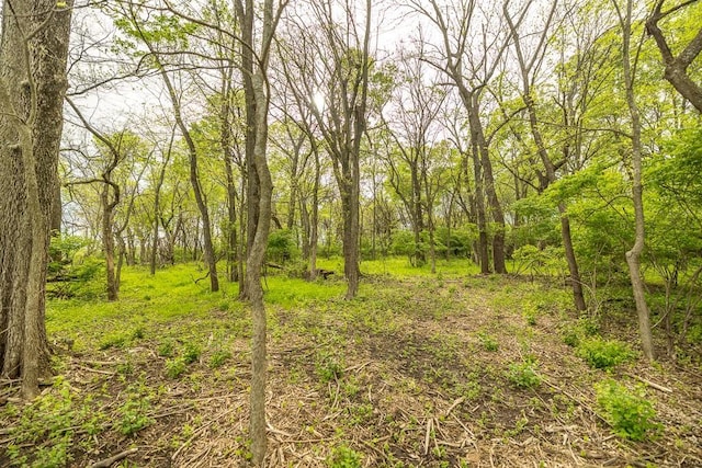 LOT1 Timber Ridge Dr, Peculiar, MO 64078 - photo 13