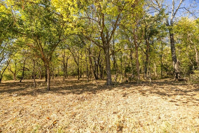 LOT1 Timber Ridge Dr, Peculiar, MO 64078 - photo 38