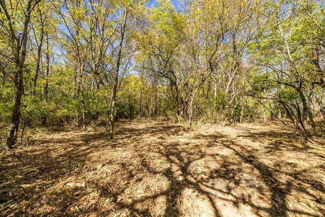 LOT1 Timber Ridge Dr, Peculiar, MO 64078 - photo 40