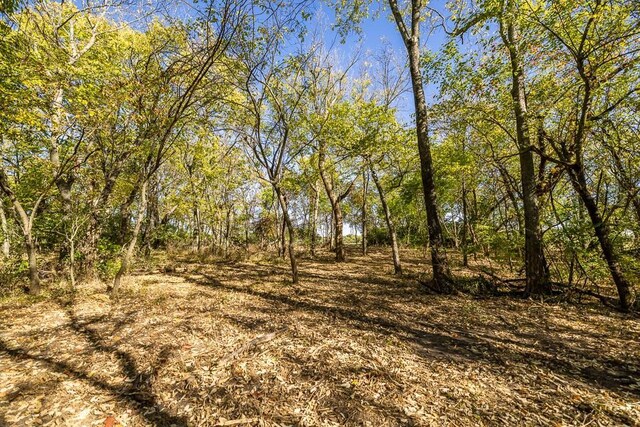 LOT1 Timber Ridge Dr, Peculiar, MO 64078 - photo 43
