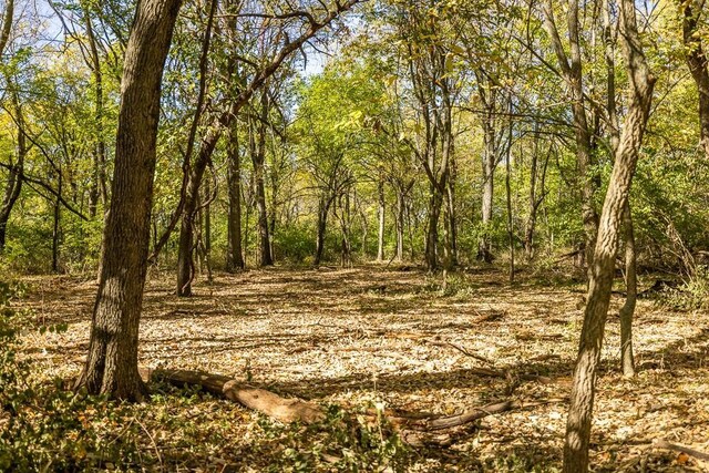 LOT1 Timber Ridge Dr, Peculiar, MO 64078 - photo 44