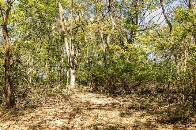 LOT1 Timber Ridge Dr, Peculiar, MO 64078 - photo 45