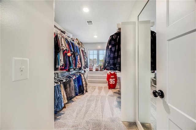spacious closet with carpet