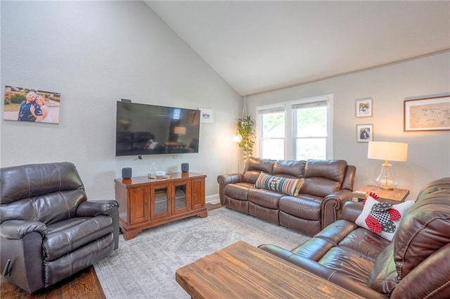 living room featuring light wood finished floors and high vaulted ceiling