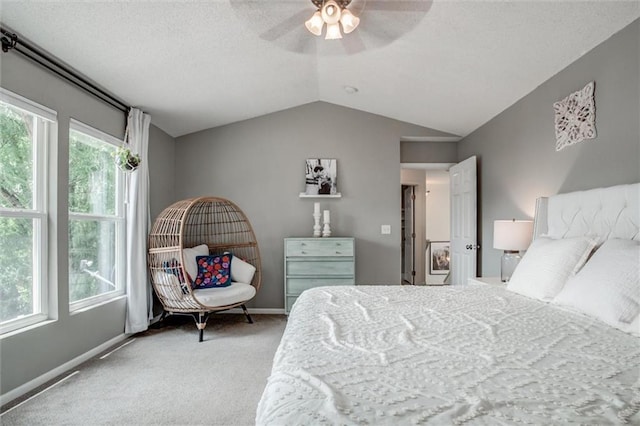 1849 W Cedar St, Olathe, KS 66061 - carpeted bedroom with lofted ceiling, multiple windows, a ceiling fan, and a textured ceiling