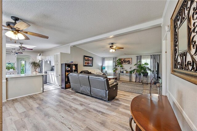 33 Lakeview Ln, Linn Valley, KS 66040 - living area featuring a ceiling fan, healthy amount of natural light, a textured ceiling, and light wood-style flooring
