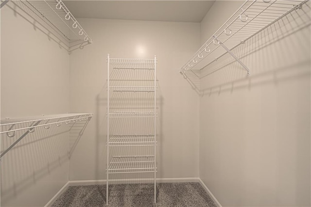 6106 NE 118th St, Kansas City, MO 64156 - walk in closet with carpet