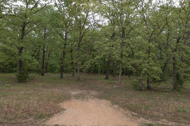 0000 Old Nonsuch Rd, Camdenton, MO 65020 - photo 2