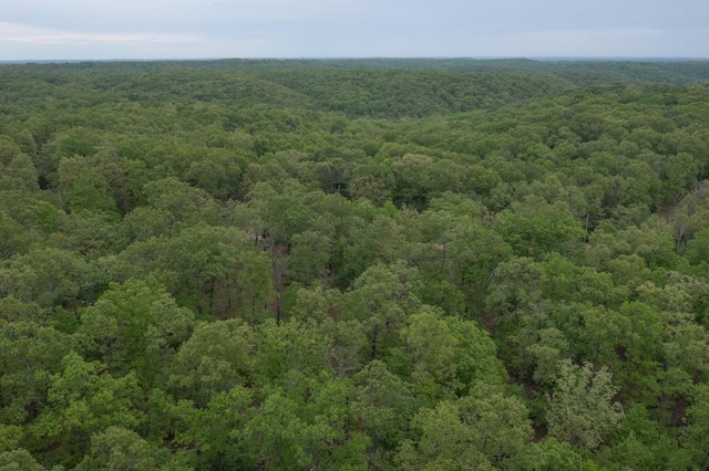 0000 Old Nonsuch Rd, Camdenton, MO 65020 - photo 4