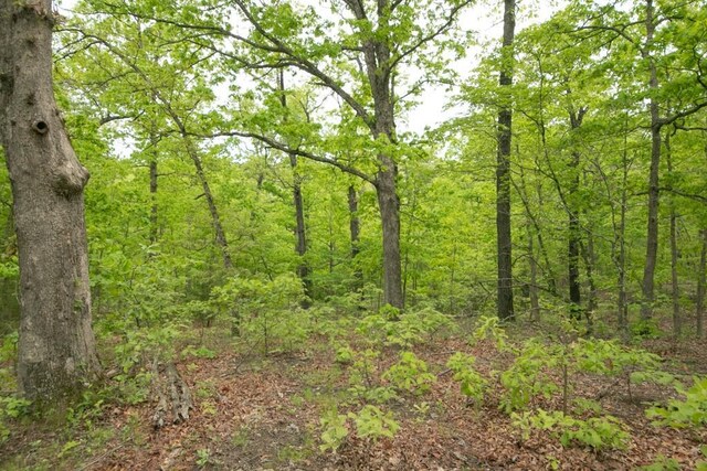 0000 Old Nonsuch Rd, Camdenton, MO 65020 - photo 5