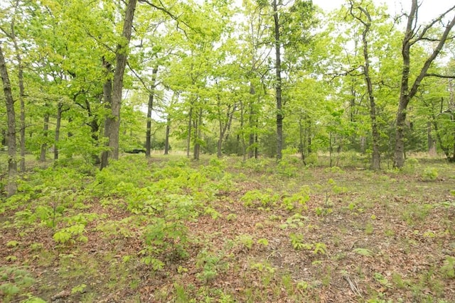 0000 Old Nonsuch Rd, Camdenton, MO 65020 - photo 8