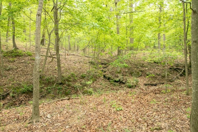 0000 Old Nonsuch Rd, Camdenton, MO 65020 - photo 9