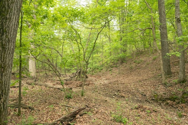 0000 Old Nonsuch Rd, Camdenton, MO 65020 - photo 11
