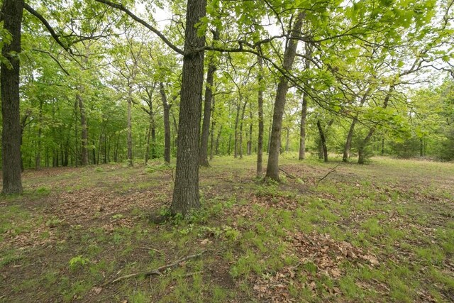 0000 Old Nonsuch Rd, Camdenton, MO 65020 - photo 15
