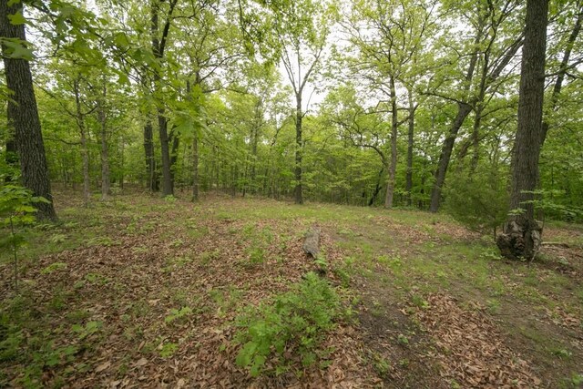 0000 Old Nonsuch Rd, Camdenton, MO 65020 - photo 16