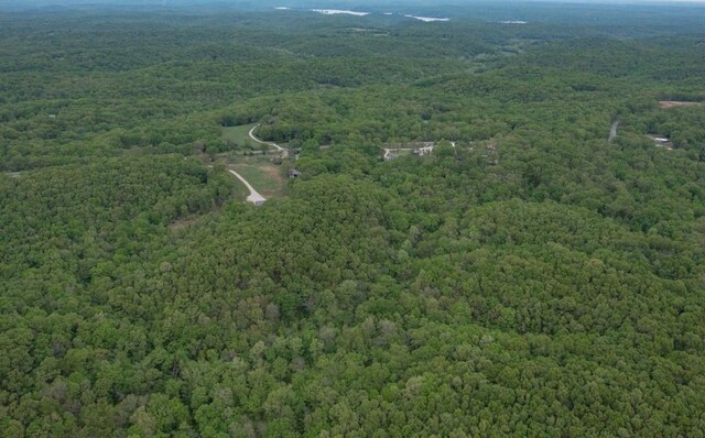 0000 Old Nonsuch Rd, Camdenton, MO 65020 - photo 21