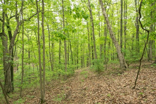 0000 Old Nonsuch Rd, Camdenton, MO 65020 - photo 22