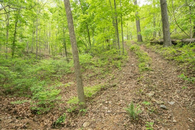 0000 Old Nonsuch Rd, Camdenton, MO 65020 - photo 24
