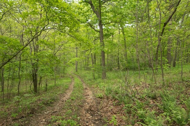0000 Old Nonsuch Rd, Camdenton, MO 65020 - photo 25