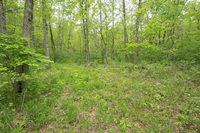 0000 Old Nonsuch Rd, Camdenton, MO 65020 - photo 26