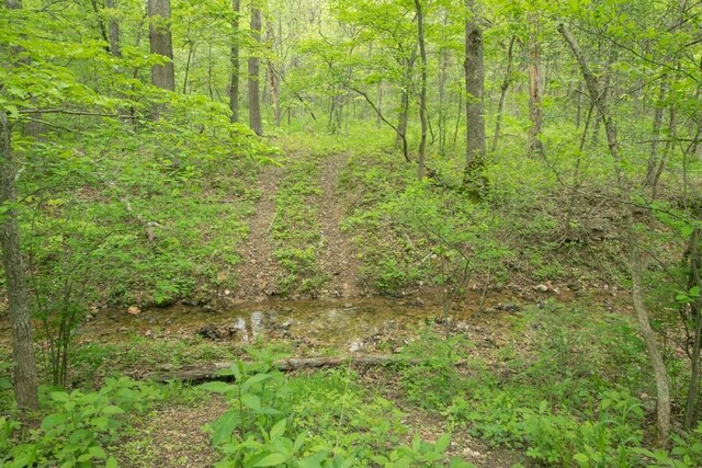 0000 Old Nonsuch Rd, Camdenton, MO 65020 - photo 27