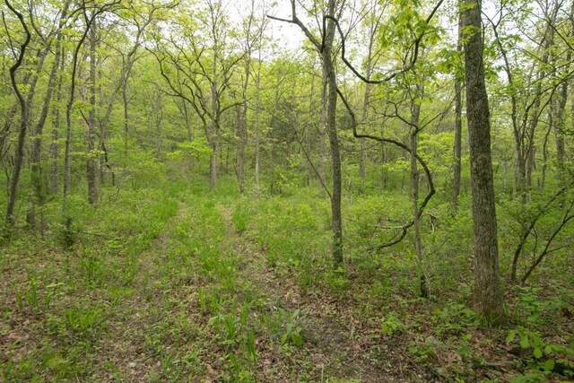 0000 Old Nonsuch Rd, Camdenton, MO 65020 - photo 28
