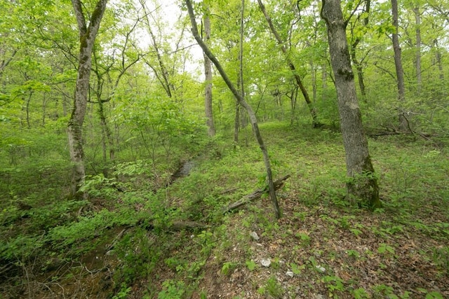 0000 Old Nonsuch Rd, Camdenton, MO 65020 - photo 29