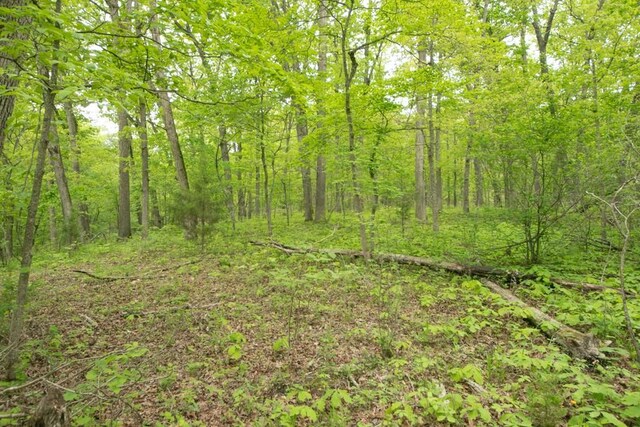 0000 Old Nonsuch Rd, Camdenton, MO 65020 - photo 30