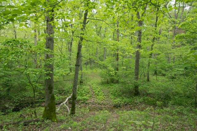 0000 Old Nonsuch Rd, Camdenton, MO 65020 - photo 31